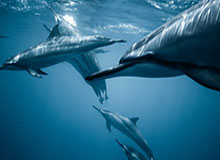 网页版登录入口——轻松开启高效数字生活